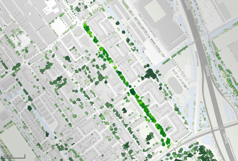 boomregister plattegrond bomen